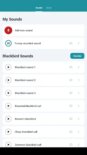 Download Blackbird Sounds Terbaru – Melodi Alam Gratis - Screenshot 7