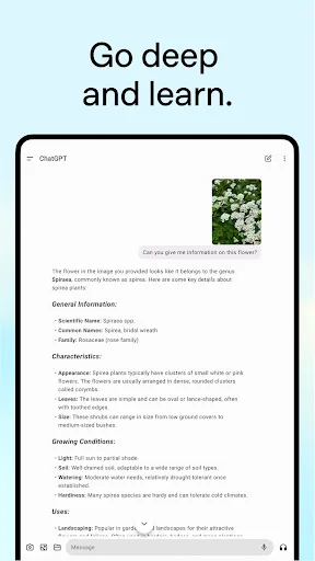 Download ChatGPT Terbaru – Asisten AI Cerdas Gratis di HP - Screenshot 16