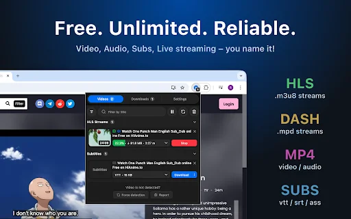 MAX Video Downloader – Download HLS, DASH, MP4 Gratis - Screenshot 1