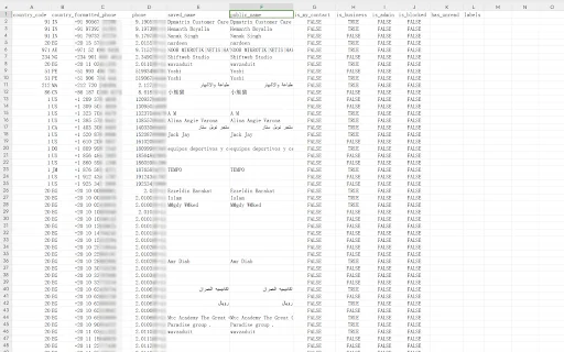 Ekspor Kontak WhatsApp – Simpan Nomor WA Cepat & Aman - Screenshot 2