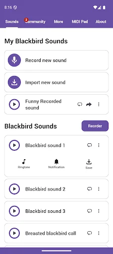 Download Blackbird Sounds Terbaru – Melodi Alam Gratis - Screenshot 1