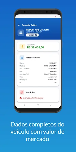 Download Consulta Veicular Terbaru – Cek Denda & Riwayat Mobil - Screenshot 2