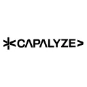 Capalyze: Web Scraper AI Terbaik – Ubah Data Website ke Excel