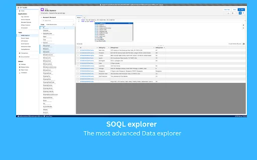 Download Salesforce Toolkit Terbaru – Alat Admin Salesforce Terbaik - Screenshot 2