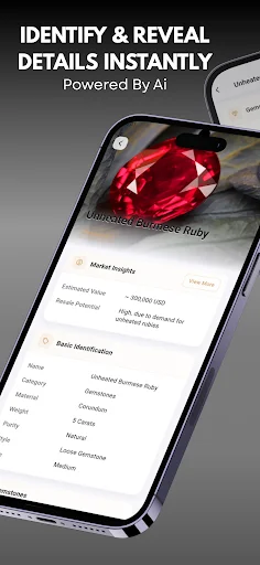 Download Jewelry Identifier Terbaru – Cek Batu Permata Gratis - Screenshot 7