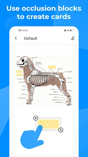 Download Knowlet Terbaru – Belajar Flashcard Gratis & Efektif - Screenshot 8