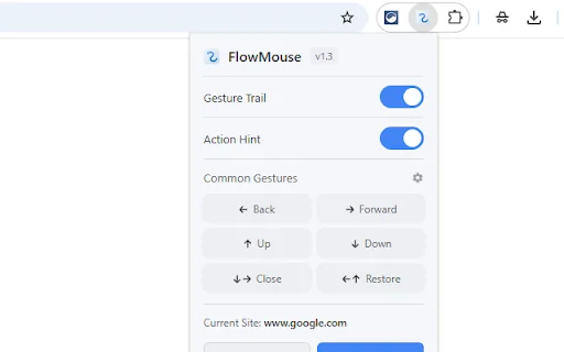 FlowMouse: Ekstensi Mouse Gesture Chrome Terbaik & Privasi - Screenshot 5